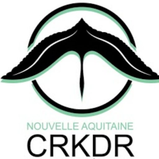 ELECTION DU NOUVEAU COMITE DIRECTEUR CNKDR – 18 juillet 2026
