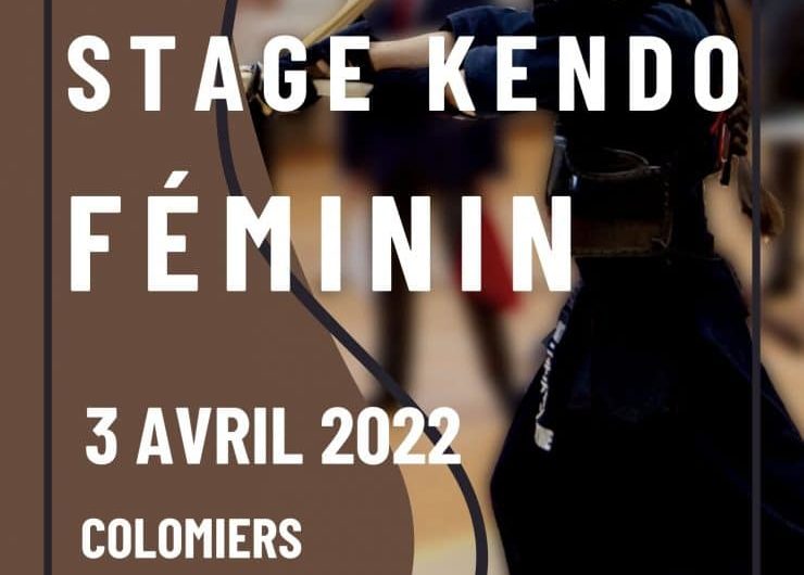 Stage Féminin Kendo du 3 avril à Colomiers (31)