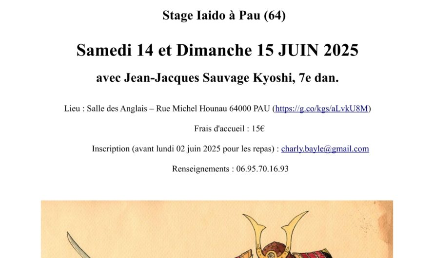 Stage de Iaido à Pau – 14 & 15 Juin