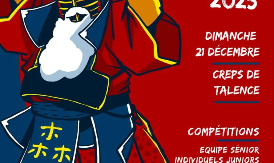 Coupe de Noël avec Ji Geiko du 20-21 décembre à Talence (33)