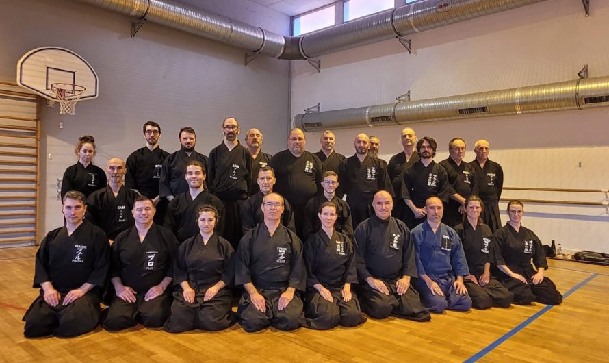 Retour sur le stage iaido • Mérignac • 13-14 décembre 2025