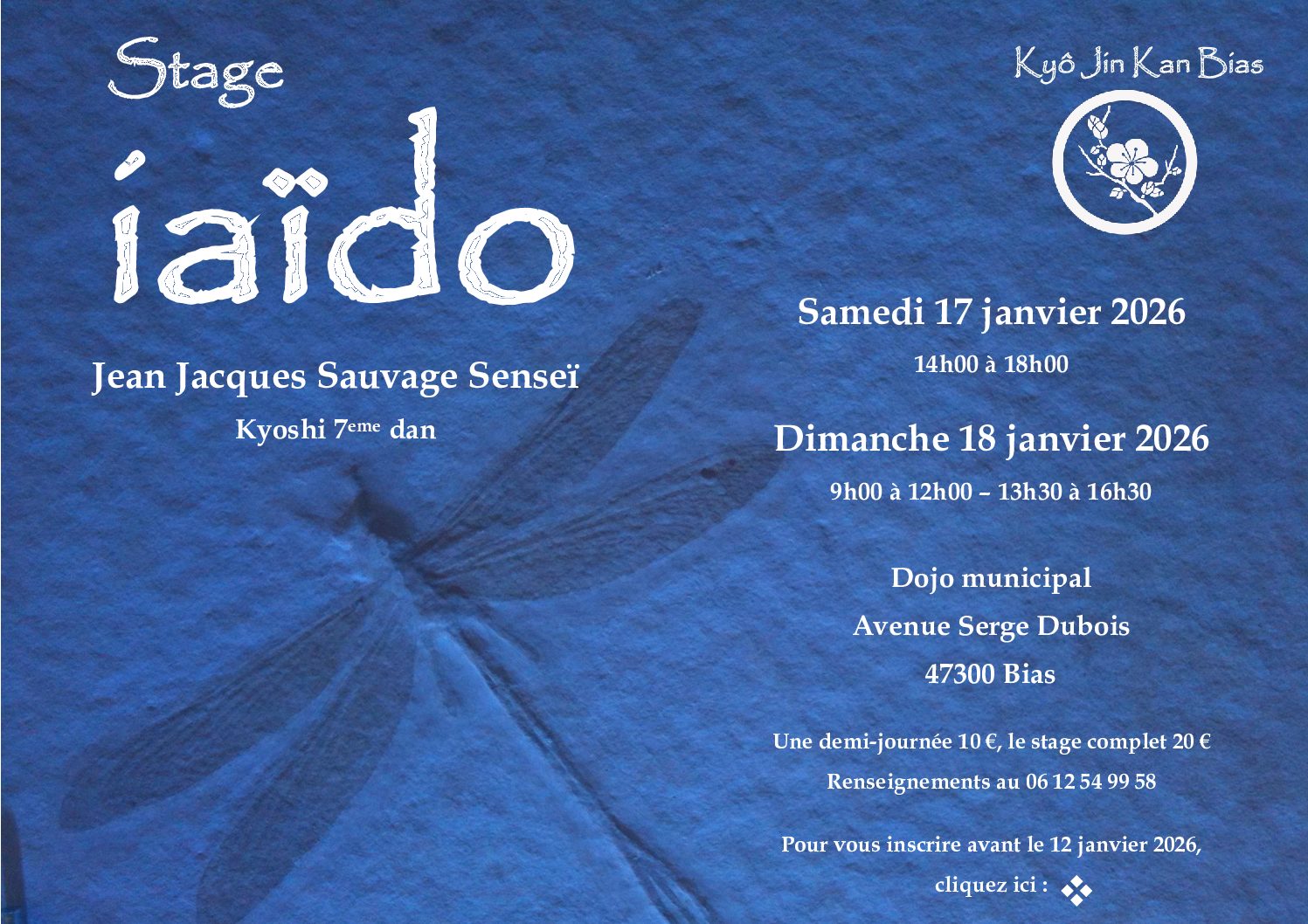 Stage iaido • 17-18 janvier 2026 • Bias (47)