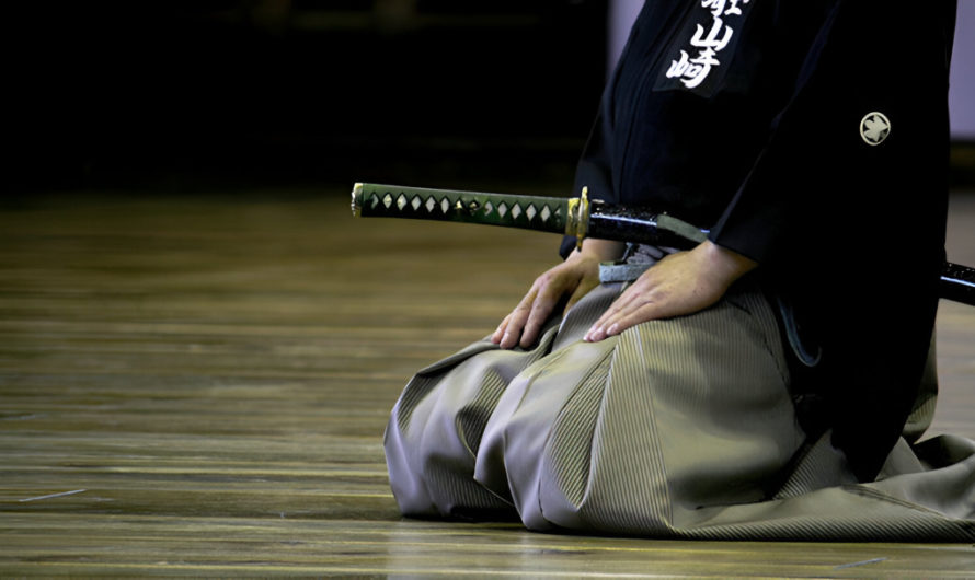 Recherchons Enseignant-e de Iaido